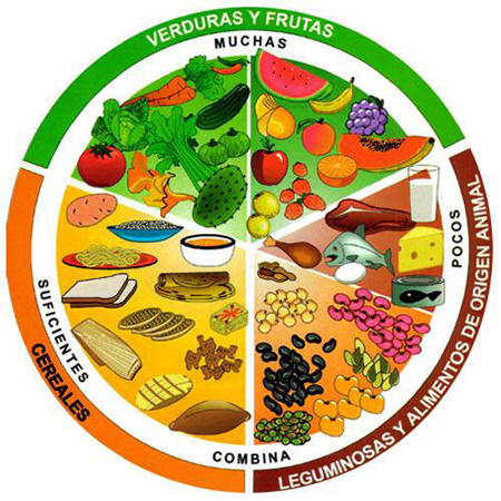 Alimentación sana y sus beneficios