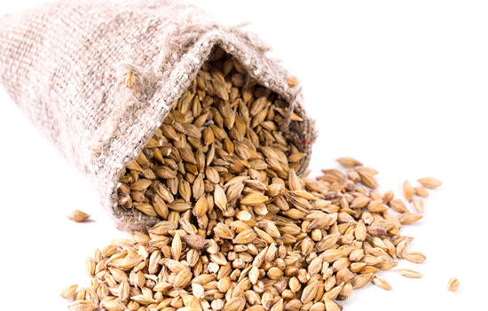 Beneficios del germen de trigo para adelgazar