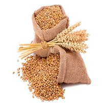 Beneficios del germen de trigo para adelgazar