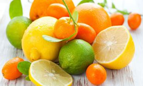 Propiedades y beneficios de los citricos