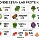 La Proteina Vegetal en tu Dieta