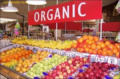 Beneficios de consumir alimentos orgánicos para nuestra salud