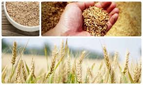 alvado de trigo, propiedades y beneficios
